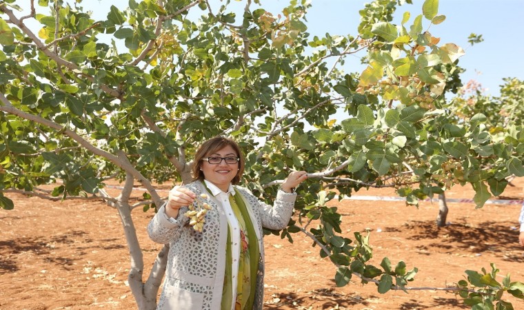 GastroAntep Kültür Yolu Festivali ile Gaziantepin mutfak ve kültür zenginliği yeniden dünya sahnesinde