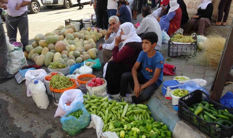 Gercüşte organik ürünlerdeki bereket fiyatları düşürdü