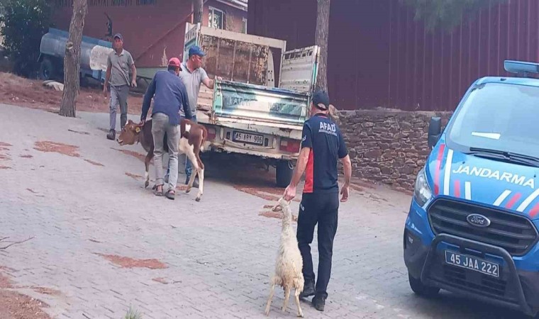 Gördeste başlayan yangın Salihliye ulaştı