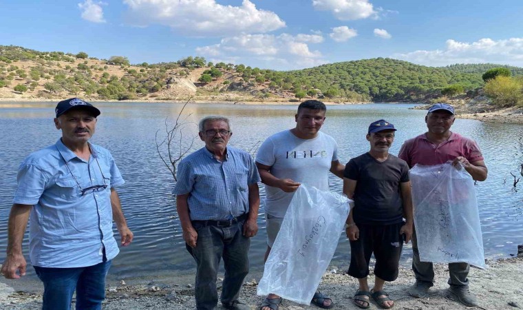 Gözkayası Göletine sazan yavruları bırakıldı