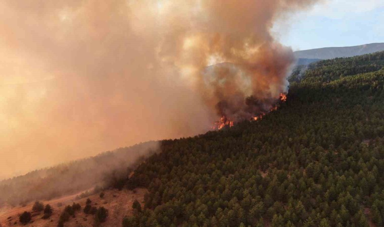 Ilgaz Dağında gökyüzüne yükselen alevler havadan görüntülendi