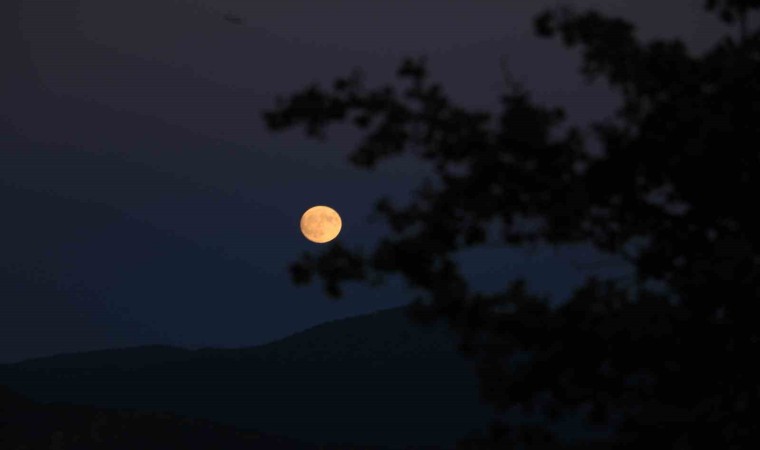 Ilgaz Dağında mest eden dolunay manzarası