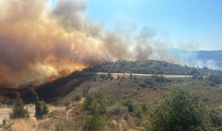 İzmirde ormana sirayet eden yangına havadan ve karadan müdahale