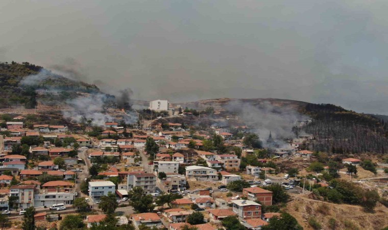 İzmirdeki orman yangını yerleşim yerlerine sıçradı: Bazı evler kül oldu