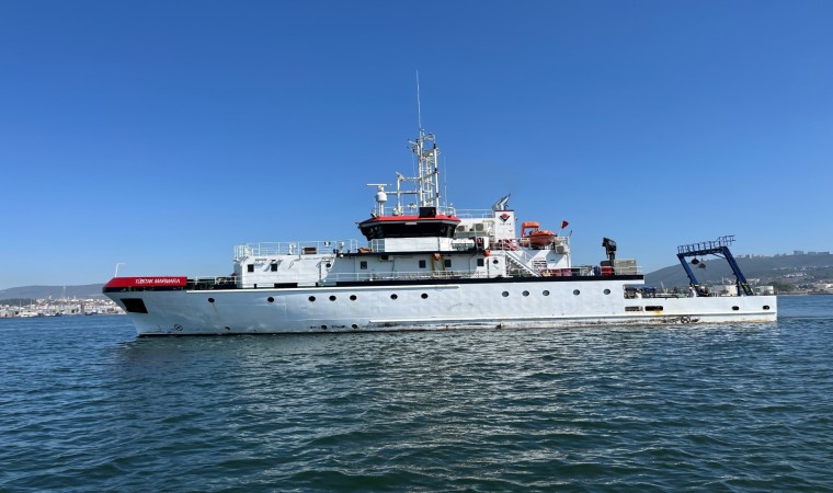 İzmit Körfezinde deniz ekosistemi hayat buluyor