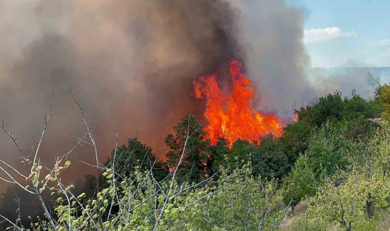 İznikte çıkan orman yangınına 6 uçak ve 3 helikopter müdahale ediyor