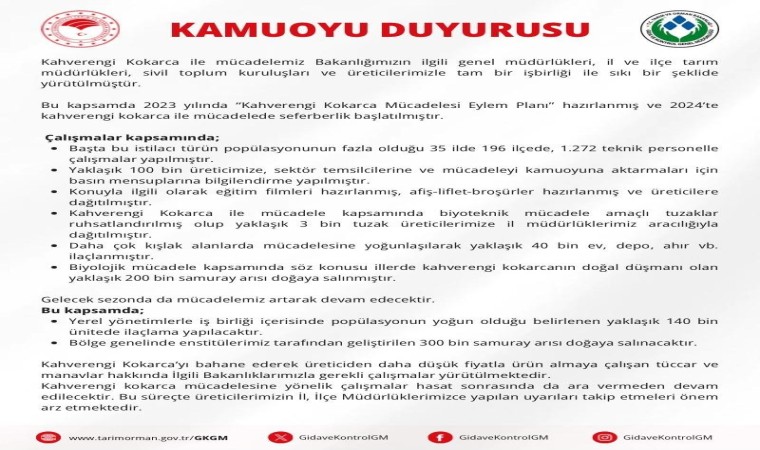 Kahverengi kokarca ile mücadele için 300 bin samuray arısı doğaya salınacak