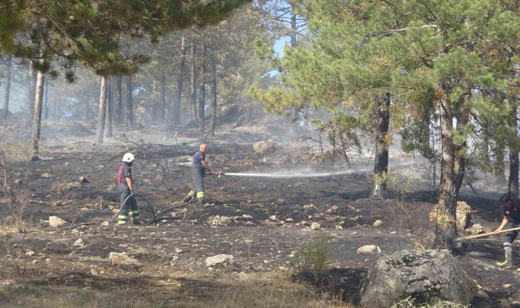 Kastamonuda çıkan orman yangını söndürüldü