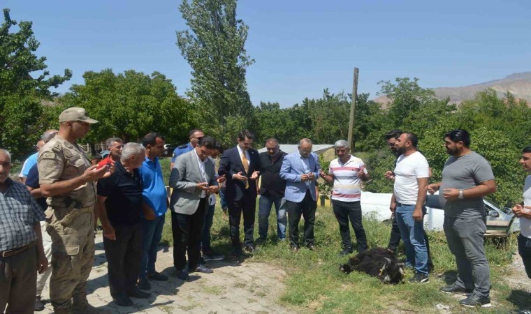 Kaymakam Yılmazdan şehit ve gazi ailelerine ziyaret