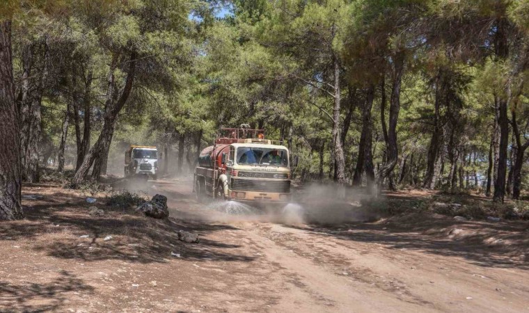 Kepez Belediyesi, orman yangınına karşı teyakkuzda