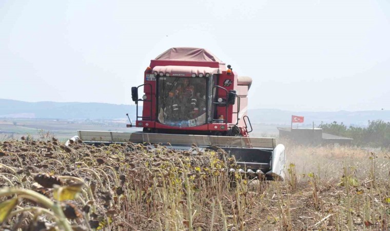 Keşanda ayçiçeği hasadı başladı