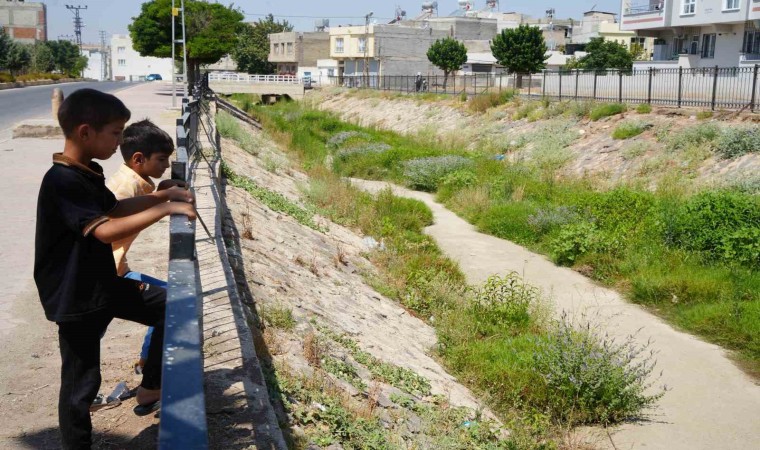 Kiliste temizlenmeyen kanal boyu deresi tehlike saçıyor