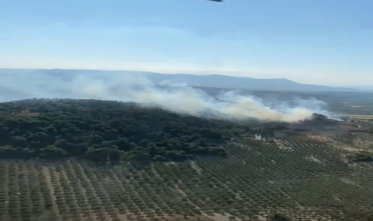 Kırkağaçtaki orman yangınına müdahale devam ediyor