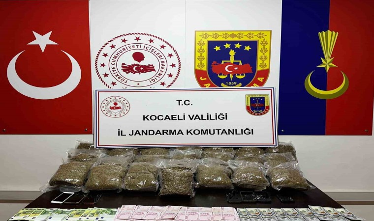 Kocaelide 2 araçta 23 kilo bonzai ele geçirildi