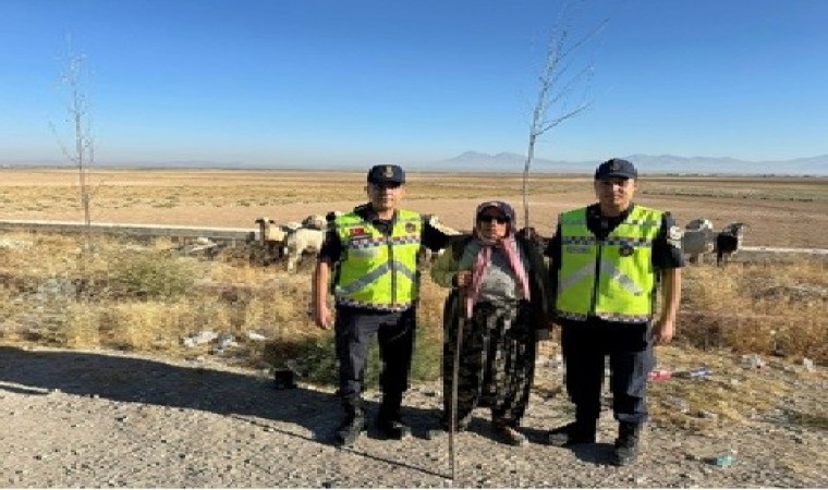 Konyada kayıp küçükbaş hayvanları jandarma buldu