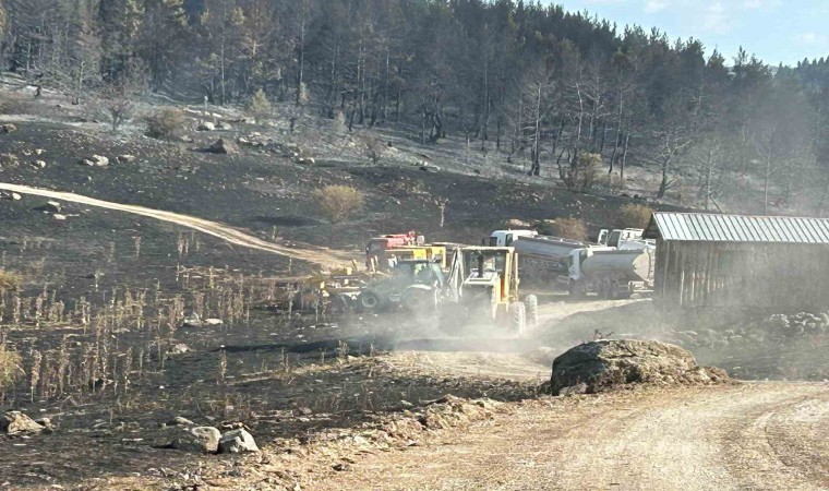 Körfez Belediyesinden Ankara ve Bolu arasındaki yangına destek