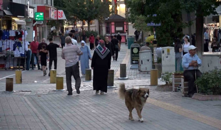 Kütahya kredi kullanımı ve batık kredi tutarında 40. sırada