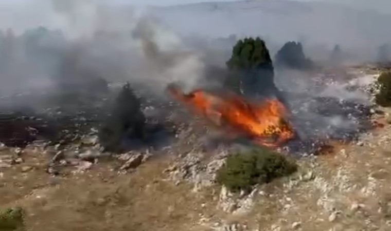 Kütahyada orman yangını: 10 dekar alan zarar gördü