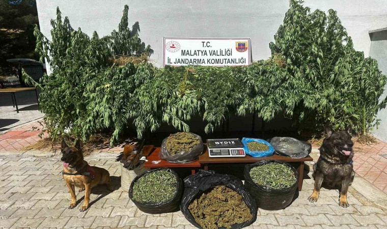 Malatyada 11,5 kilogram kubar esrar ele geçirildi: 2 gözaltı