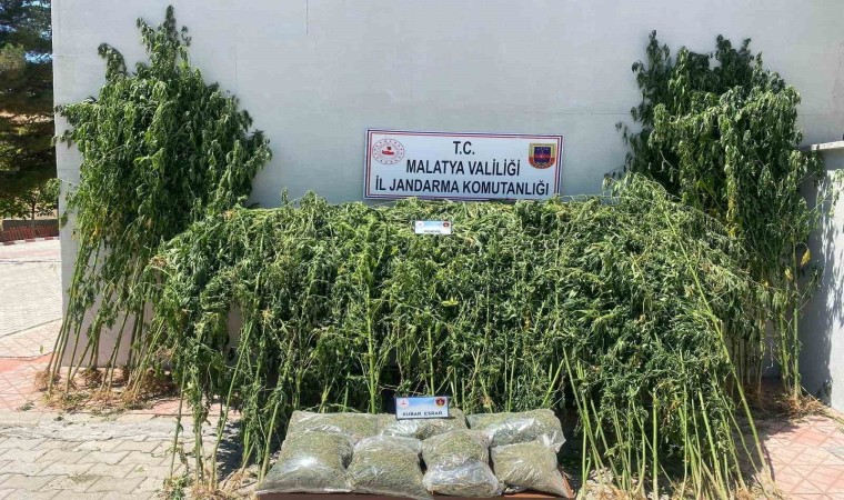 Malatyada 36 kilo esrar ele geçirildi