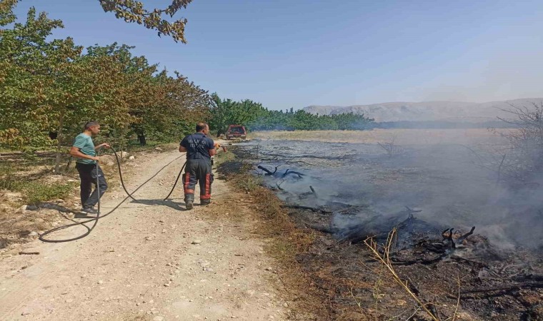 Malatyada anız ve bahçe yangınları