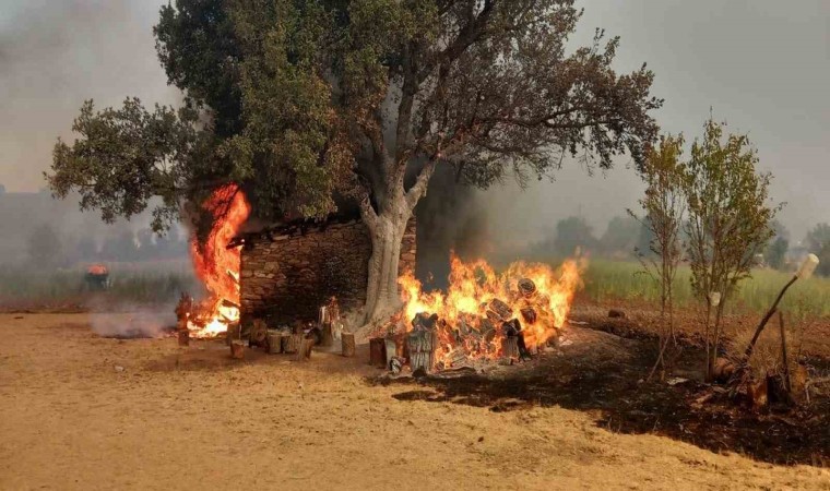 Manisada bir gün arayla çıkan orman yangınları devam ediyor