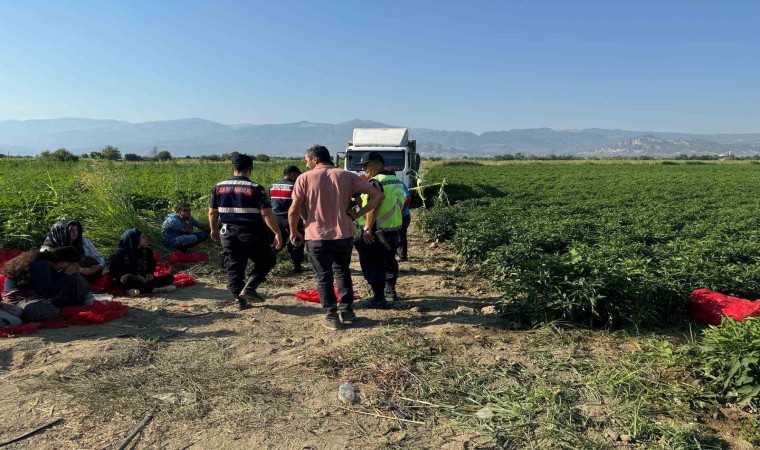 Manisada tarlada acı olay: Tarlada uyurken üzerinden kamyon geçen çocuk hayatını kaybetti