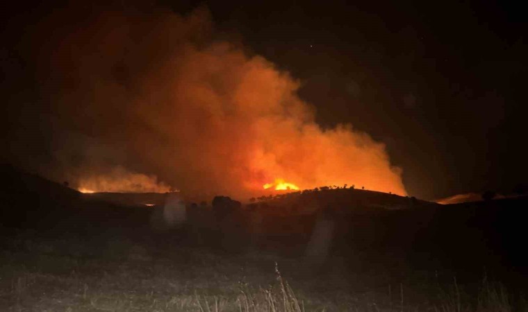 Mardinde 2 farklı noktada çıkan anız ve ot yangını söndürüldü