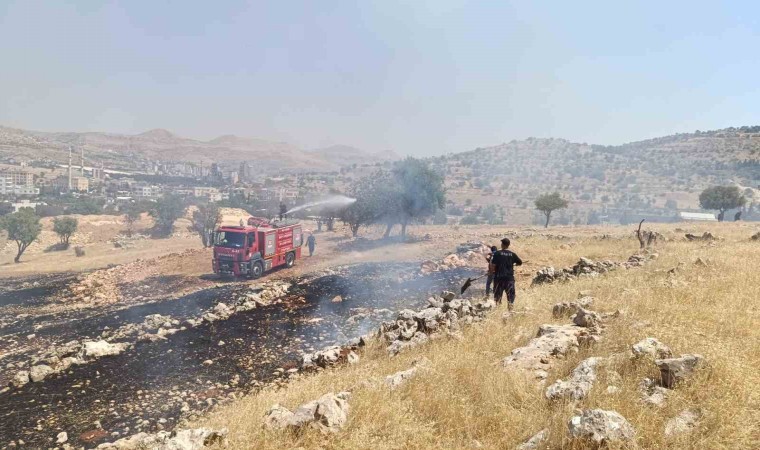 Mardinde ormanlık alanda çıkan yangın söndürüldü