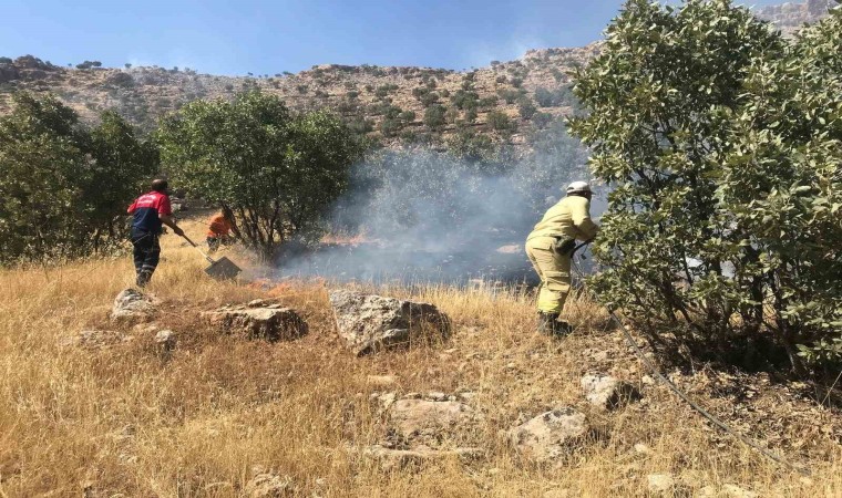 Mardinde ormanlık alanda çıkan yangın söndürüldü