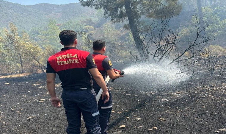 Marmaristeki orman yangını hızlı müdahale ile söndürüldü