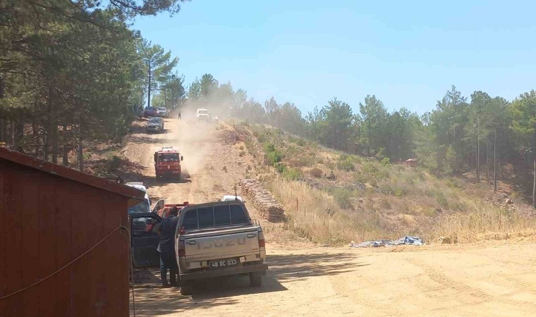 Menteşedeki orman yangına ekiplerden hızlı müdahale