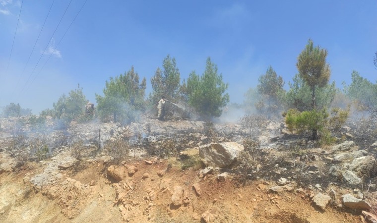 Mersinde 4 ayrı noktada çıkan orman yangınları söndürüldü