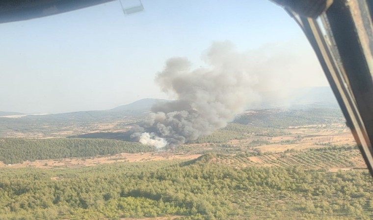 Milasta orman yangını