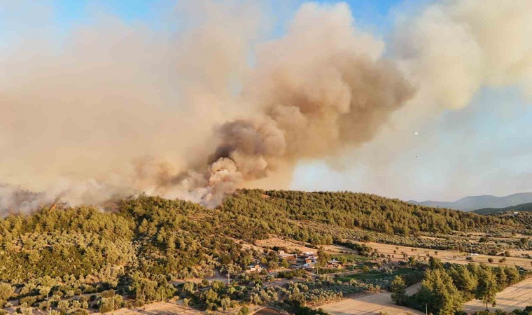 Milastaki orman yangınına müdahale sürüyor