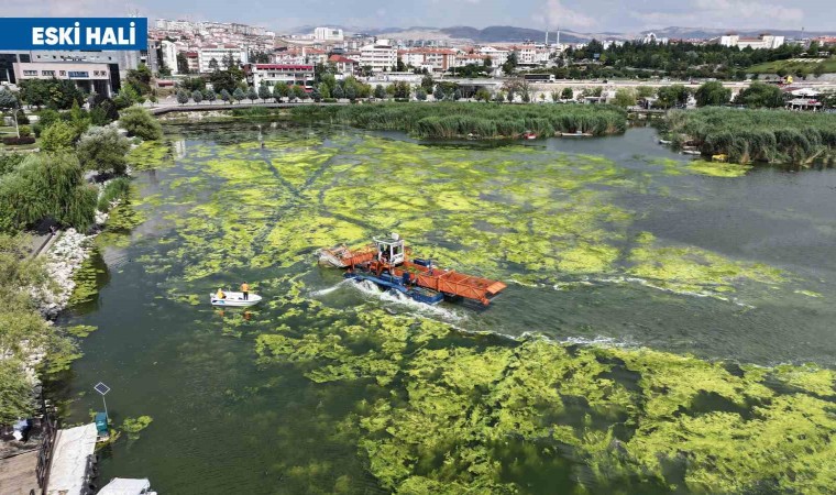 Mogan Gölünde başlatılan kapsamlı temizlik çalışmaları büyük oranda tamamlandı