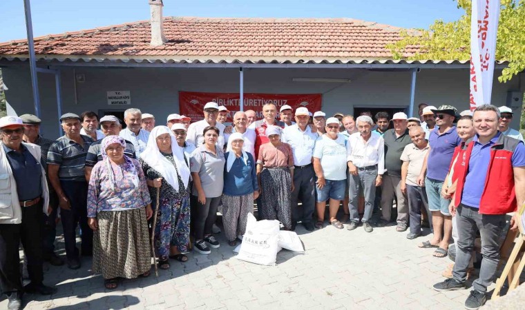 Muğlada zeytin üreticilerine ücretsiz kaolin kili dağıtılıyor