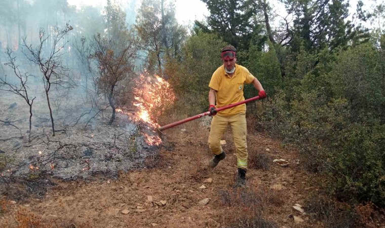 Muğladaki orman yangınları ile mücadele 5 saattir sürüyor