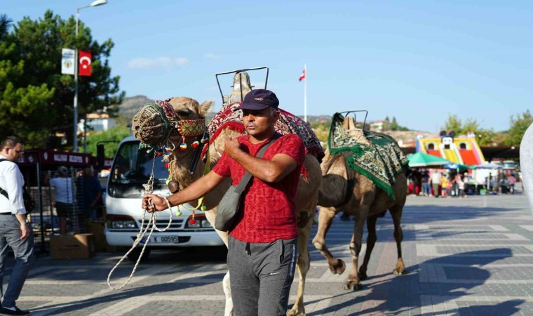 Nallıhanda festival coşkusu