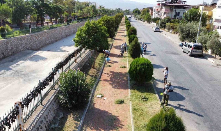 Nazillide yürüyüş yolları temizlendi