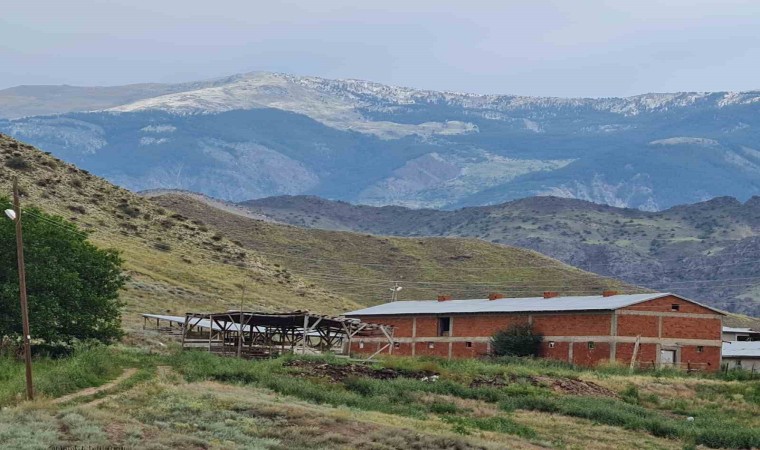 Oltuda Kırdağı beyaza büründü