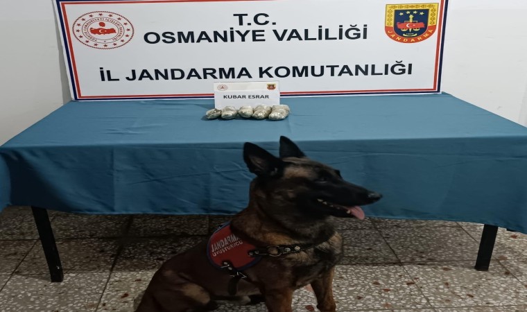 Osmaniyede jandarmadan tarihi eser ve uyuşturucu operasyonu