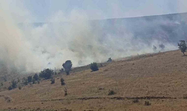 Rüzgarın etkisiyle yayılan yangın yüzlerde dönüm alanda etkili oldu