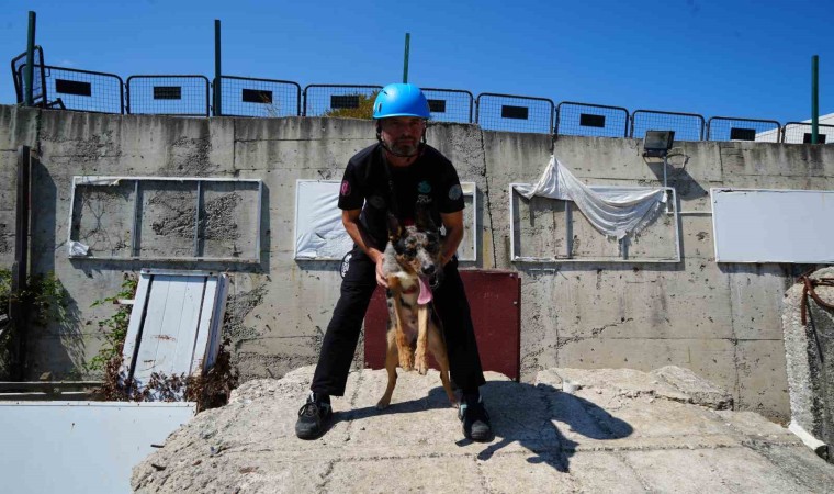 Sağlık Bakanlığının ilk arama-kurtarma köpeği Shollie afetlere Samsunda hazırlanıyor