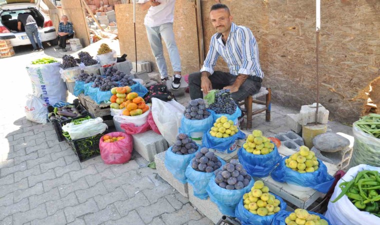 Sasonda hasadı başlayan incir tezgahlarda yerini aldı