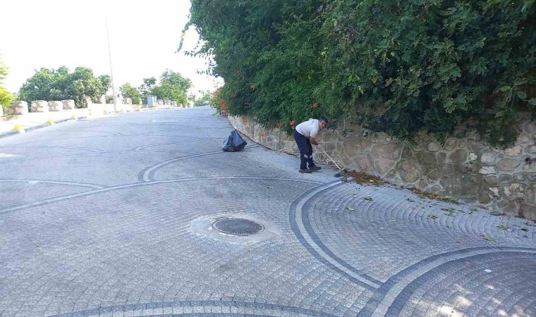 Şeyh Edebali Türbesinde kapsamlı temizlik