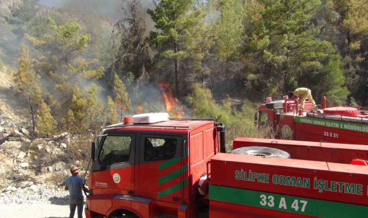 Silifkede 250 dönüm ormanlık alan yandı