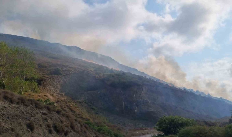 Sinopta örtü yangınında 5 hektar alan zarar gördü