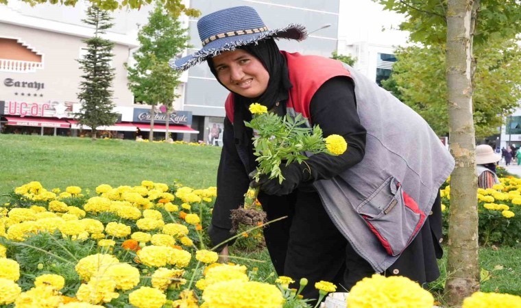 Sonbahar renkleri toprakla buluşuyor