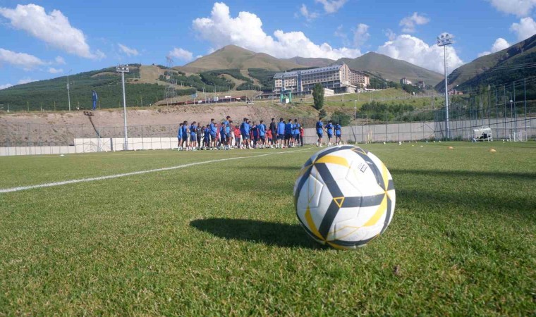 Suudiler, Palandökeni sevdi